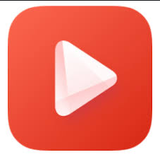 YouTube Video Downloader APK v5.1.2 (MOD + Ads-Free) 2021